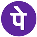 PHONEPE LIMITED logo