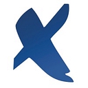 Project X logo